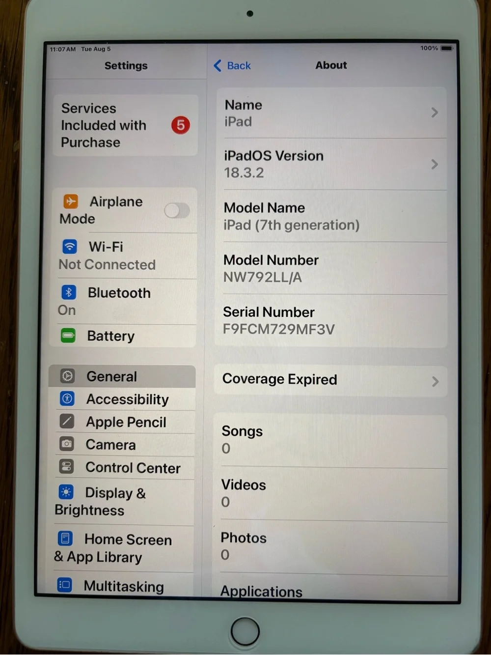 Apple this ipad